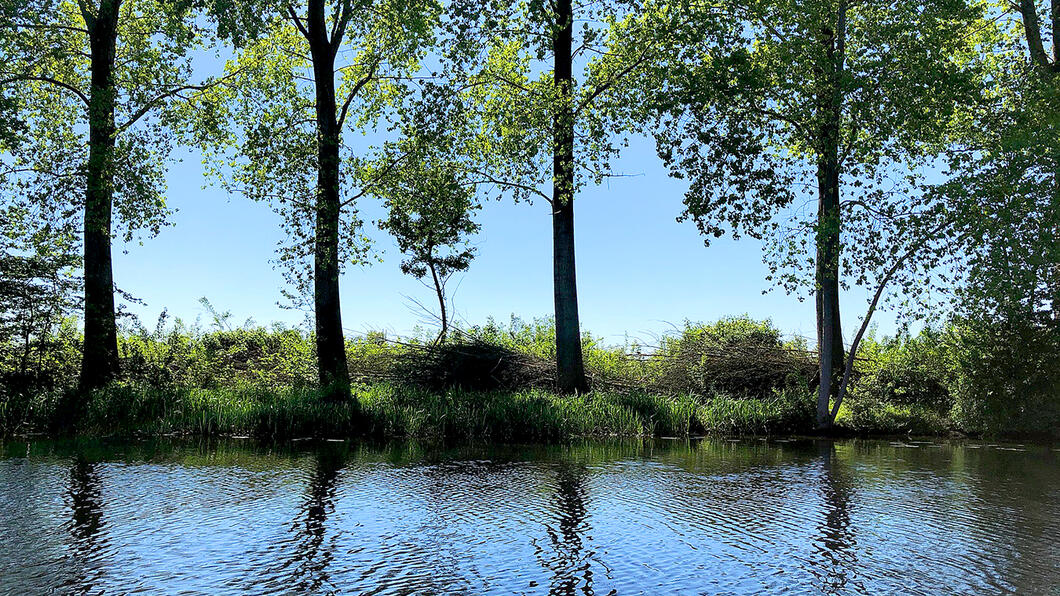 GroenLinks Doetinchem IJssel