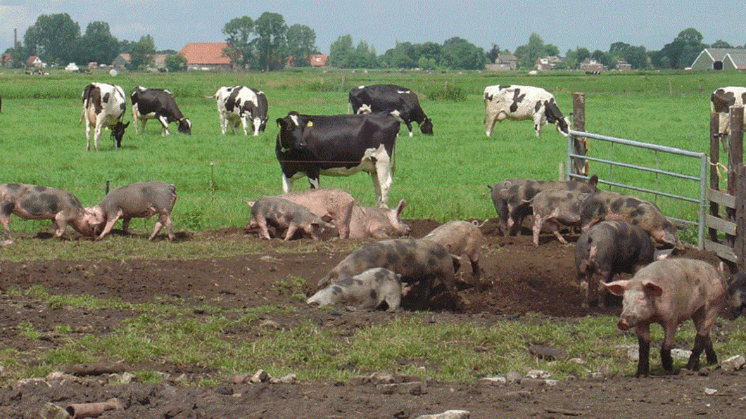 Verslag verdiepingsvergadering landbouw