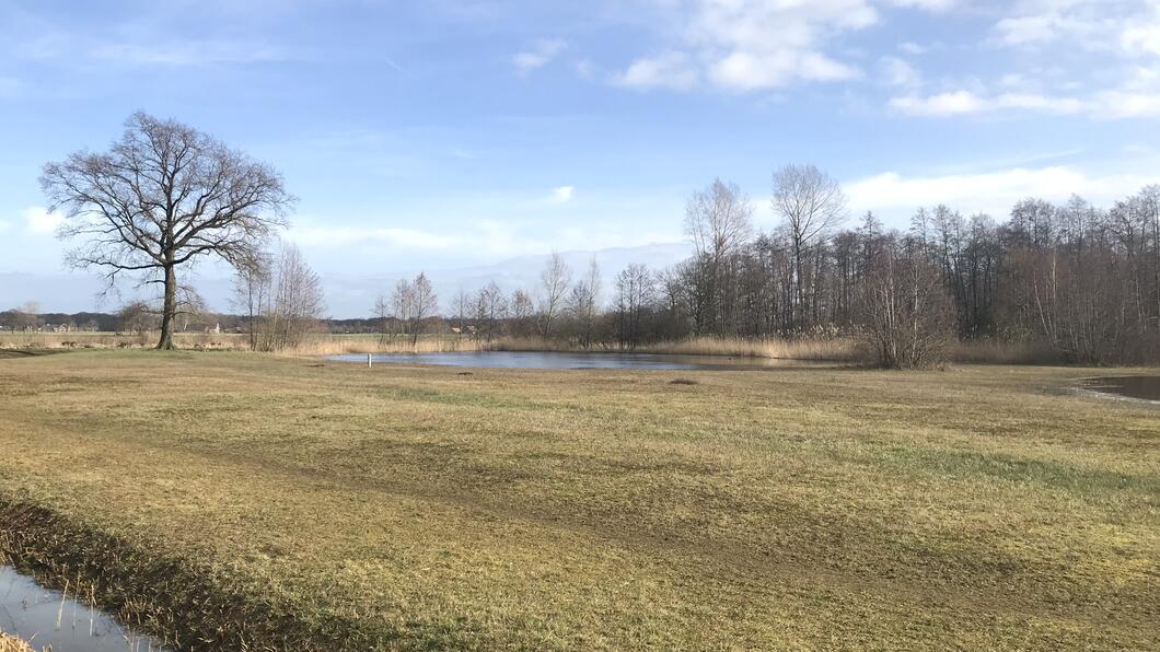 zumpe tankstation natuur Doetinchem GroenLinks