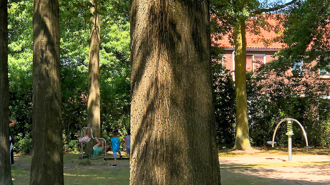 biodiversiteit bomen Karen Kamps GroenLinks Doetinchem