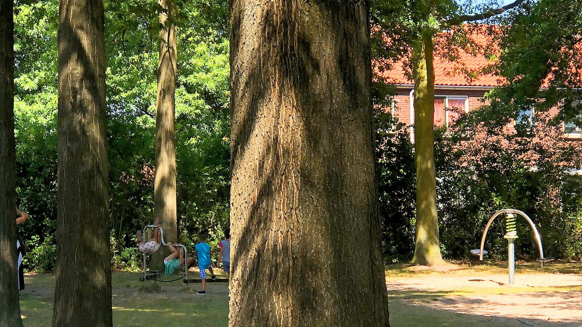 biodiversiteit bomen Karen Kamps GroenLinks Doetinchem